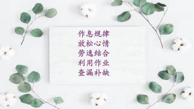 1585280465040073454.jpg 6.jpg